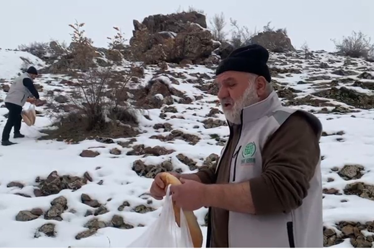 Batman'da Umut Kervanı kış şartlarında yaban hayvanlarını unutmadı