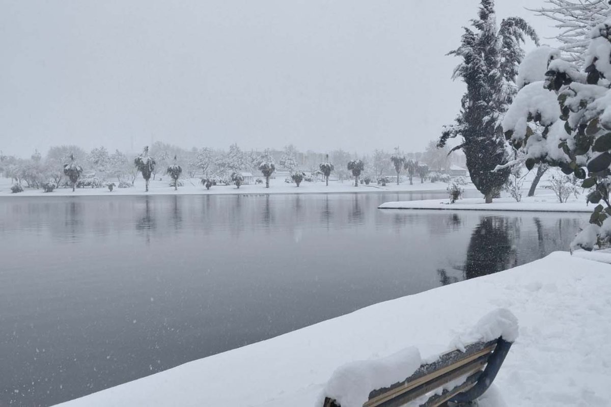Prof. Dr. Öztürkmen: Kar yağışı sadece görsel bir güzellik değil, doğanın rehabilitasyon sürecidir
