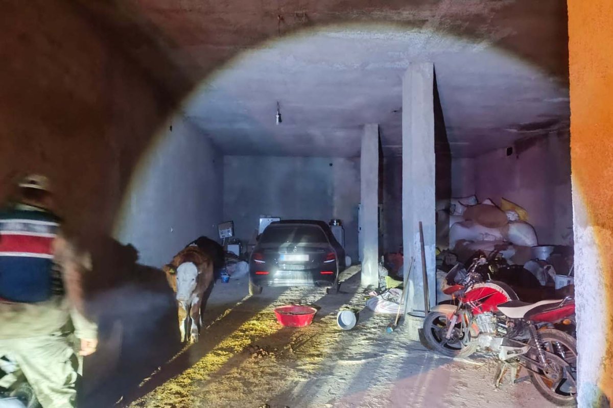 Şanlıurfa’da çalıntı araç ahırda bulundu