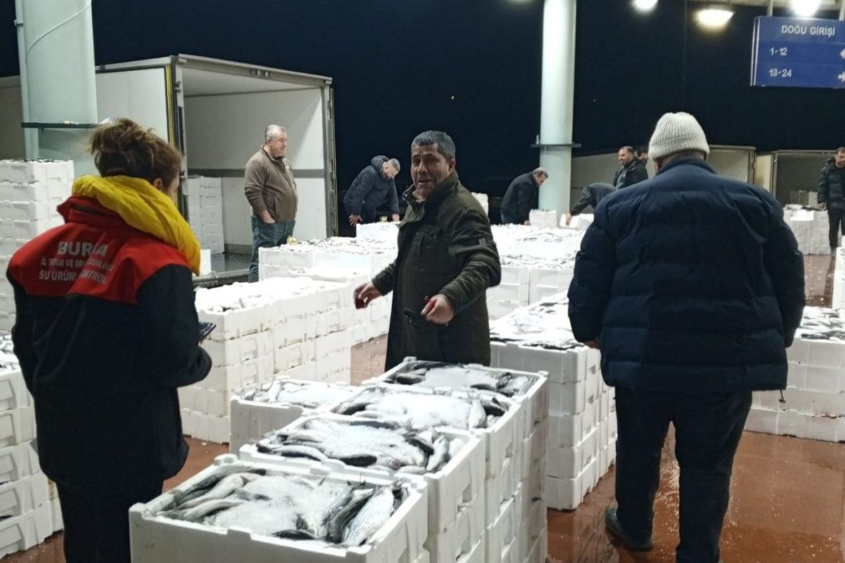 Bursa Balık Hali'nde su ürünleri denetimi