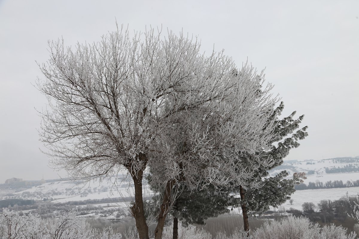 Diyarbakır’da soğuk havanın oluşturduğu kırağı geriye kartpostallık kareler bıraktı