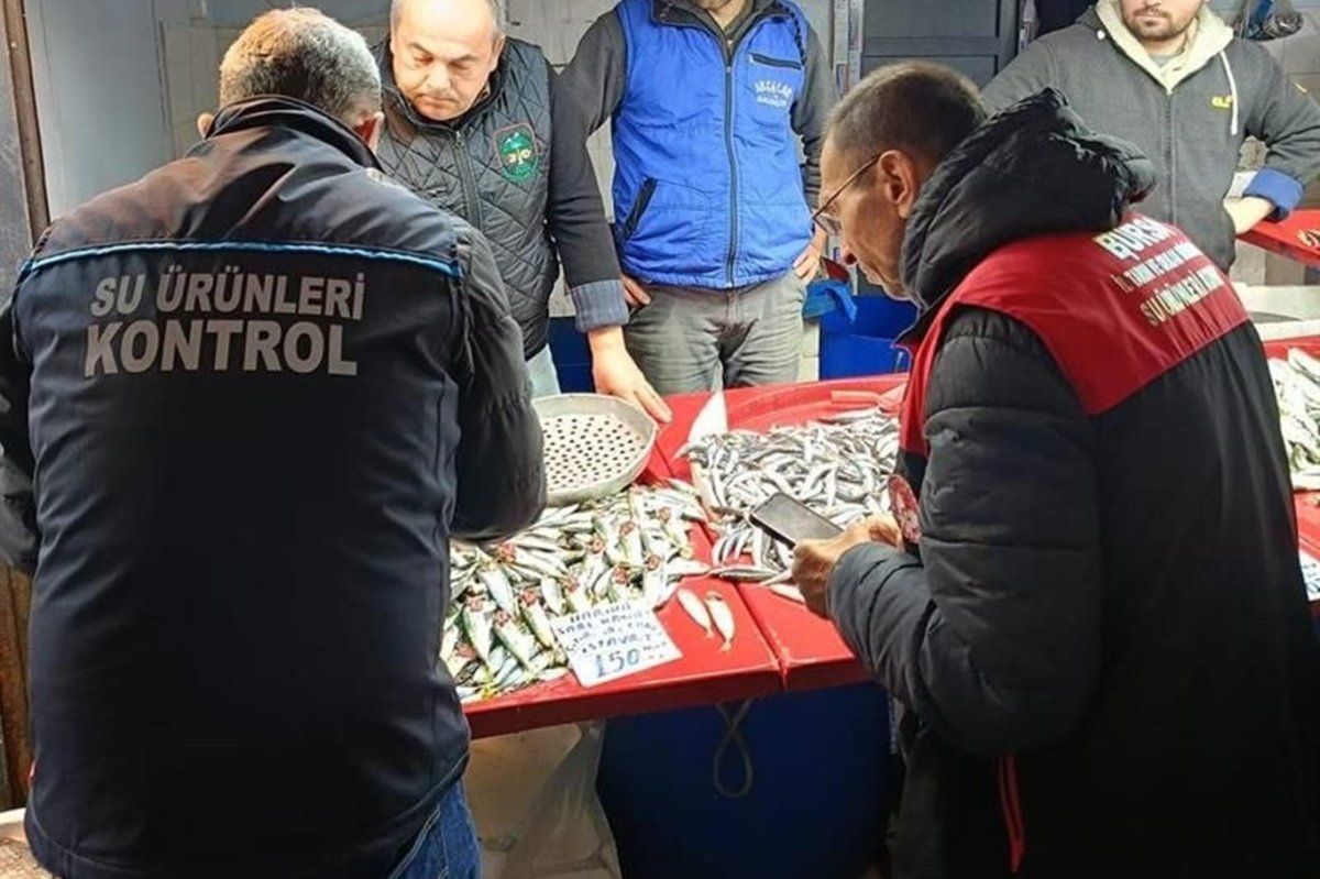 Bursa’da yaklaşık bir ton balığa el konuldu