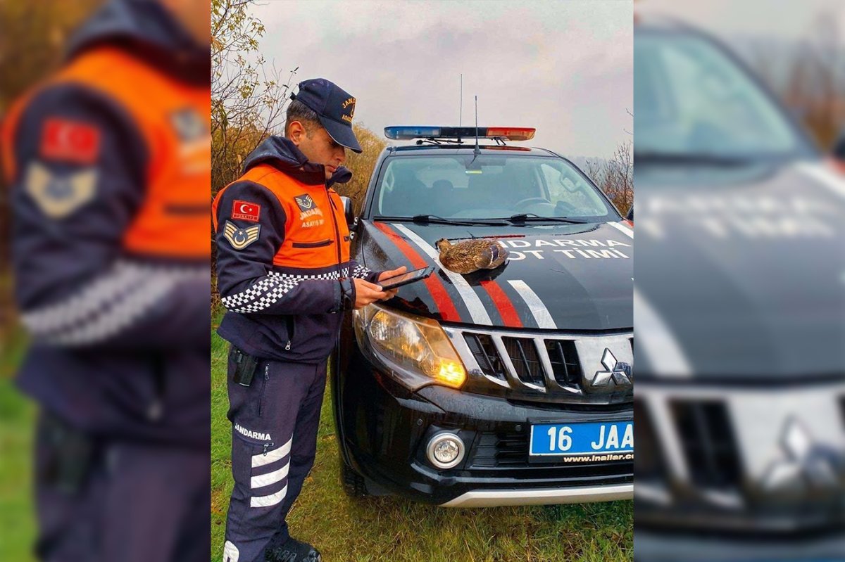 Kaçak avcılık yapan 8 kişiye 431 bin TL ceza