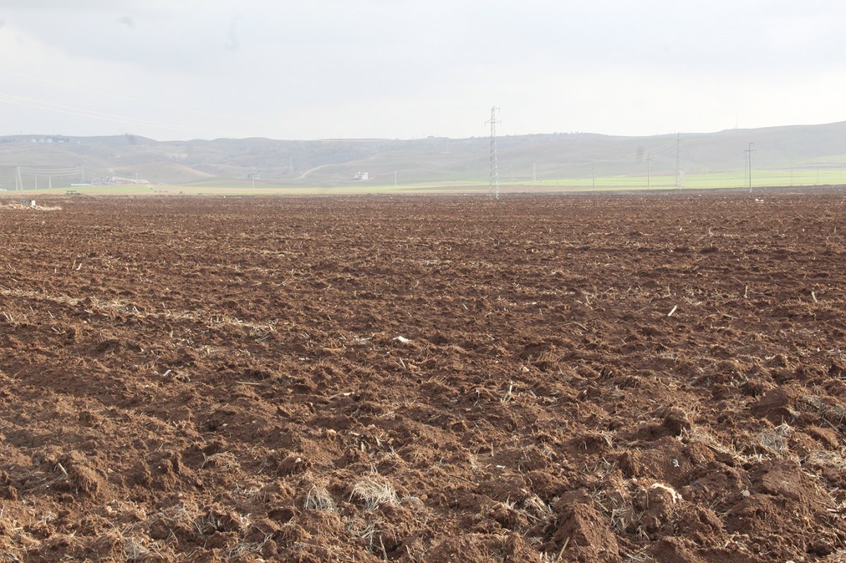ZMO Başkanı Doğan: Hunharca tükettiğimiz hayat kaynağı toprağı korumak zorundayız
