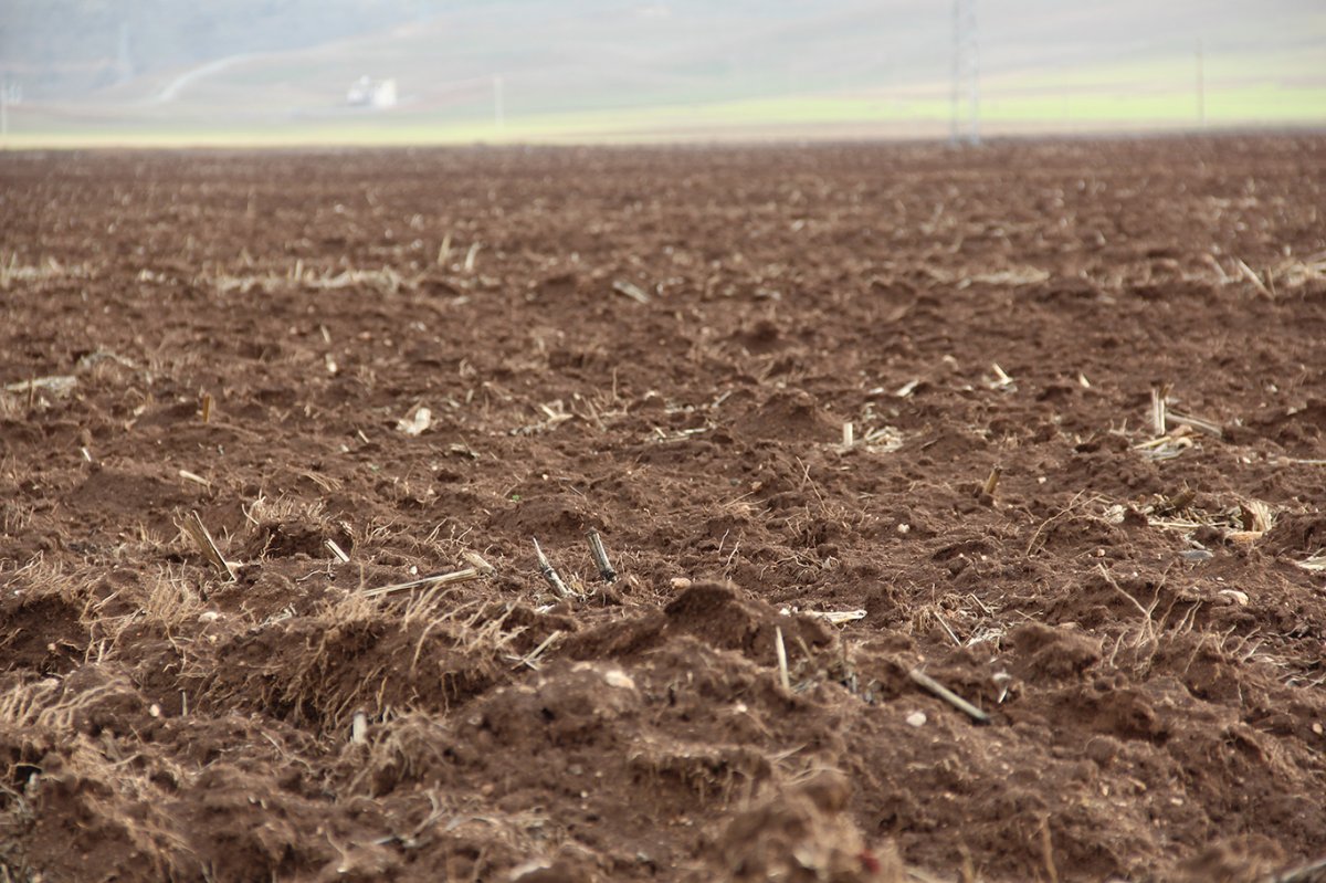 ZMO Başkanı Doğan: Hunharca tükettiğimiz hayat kaynağı toprağı korumak zorundayız