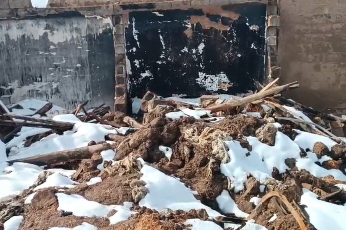 Kızıltepe Umut Kervanı’ndan evi yanan aile için acil yardım çağrısı