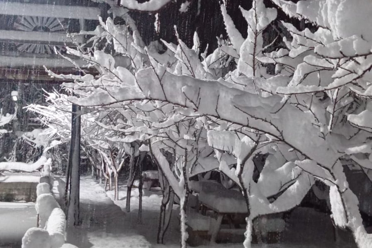 Meyve ağaçları kar altında görsel şölen oluşturdu