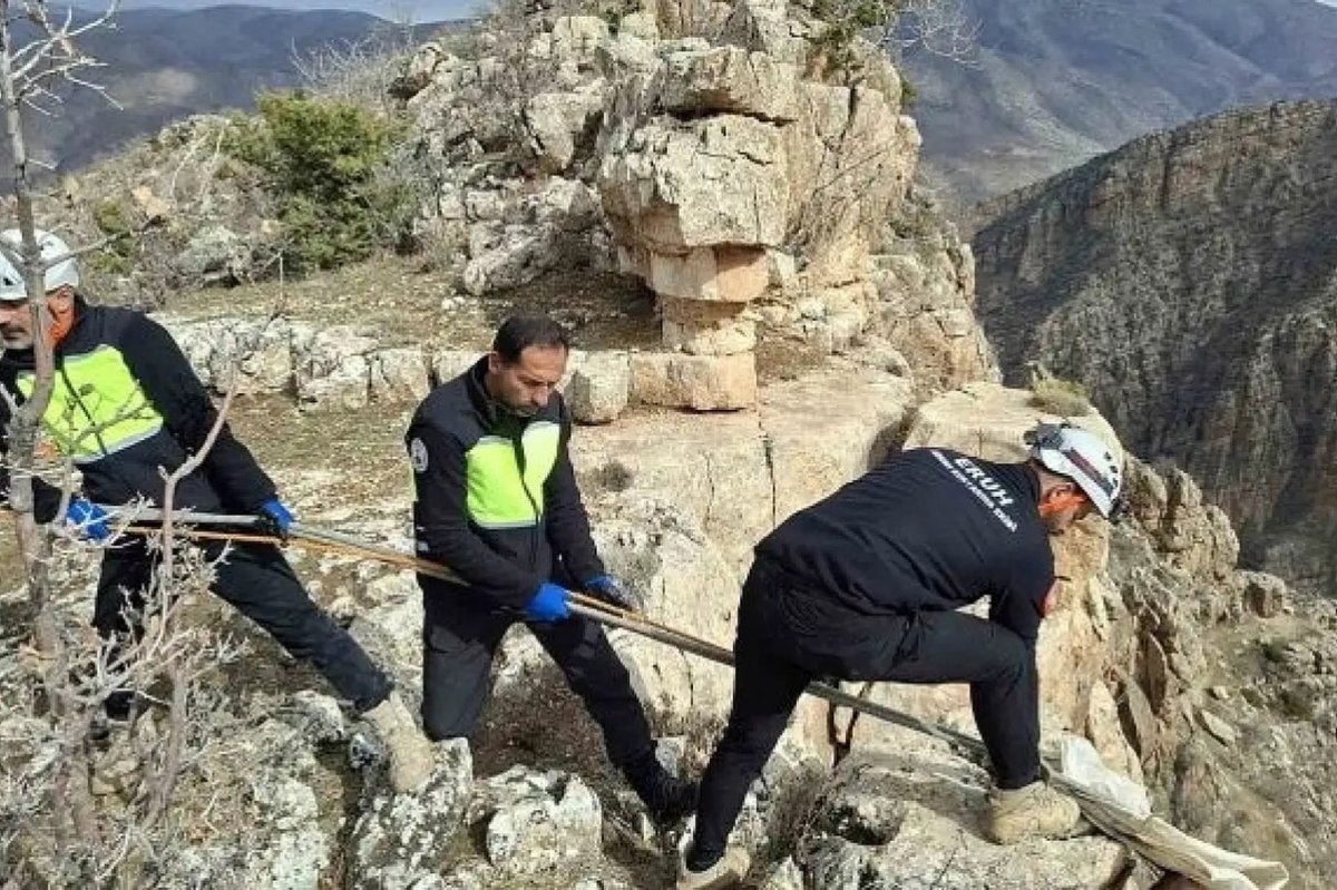 Siirt’te 3 gündür kayalıkta mahsur kalan keçi kurtarıldı