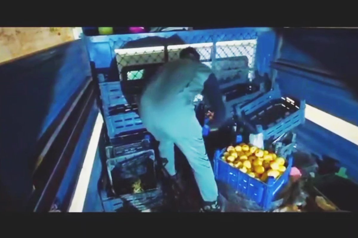 Şırnak’ta 1 kilo 431 gram skunk ele geçirildi: 2 gözaltı