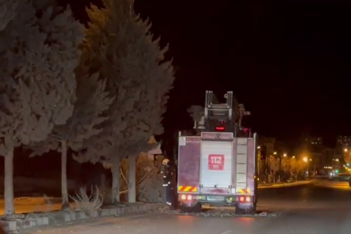 Malatya'da fırtına ağaçları kökünden söktü