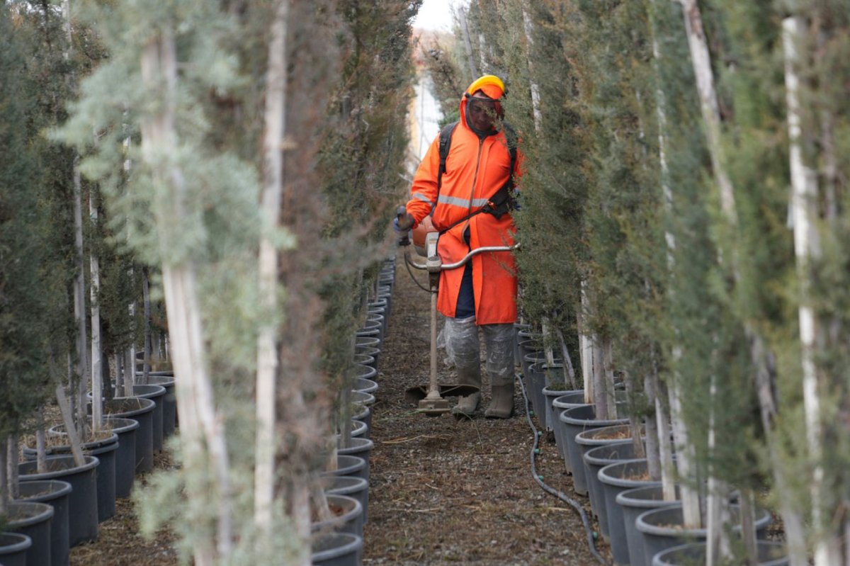 Malatya'da yeşil alanlarda kapsamlı çalışma yürütülüyor
