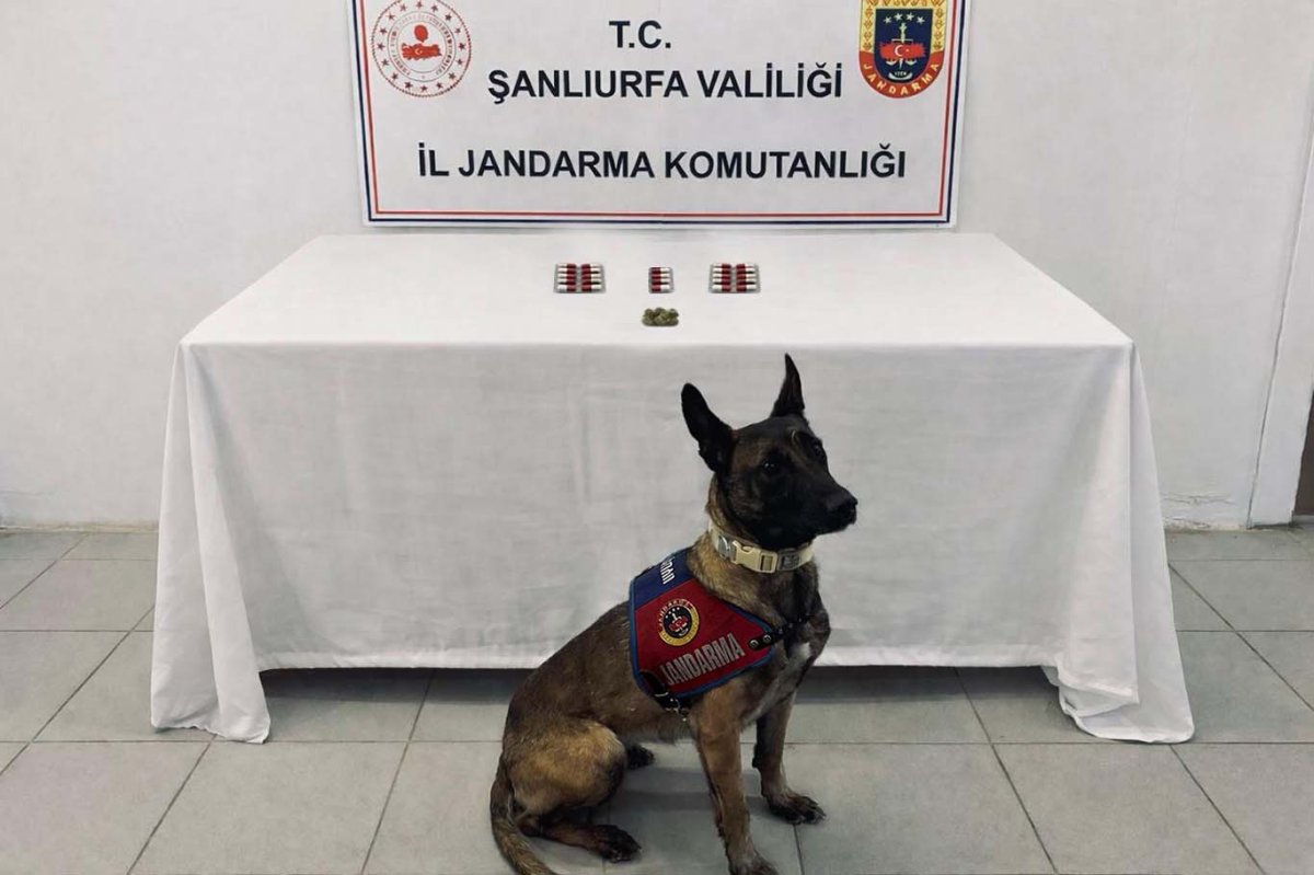 Şanlıurfa’da jandarmadan narkotik uygulamaları: 8 şüpheli hakkında işlem başlatıldı