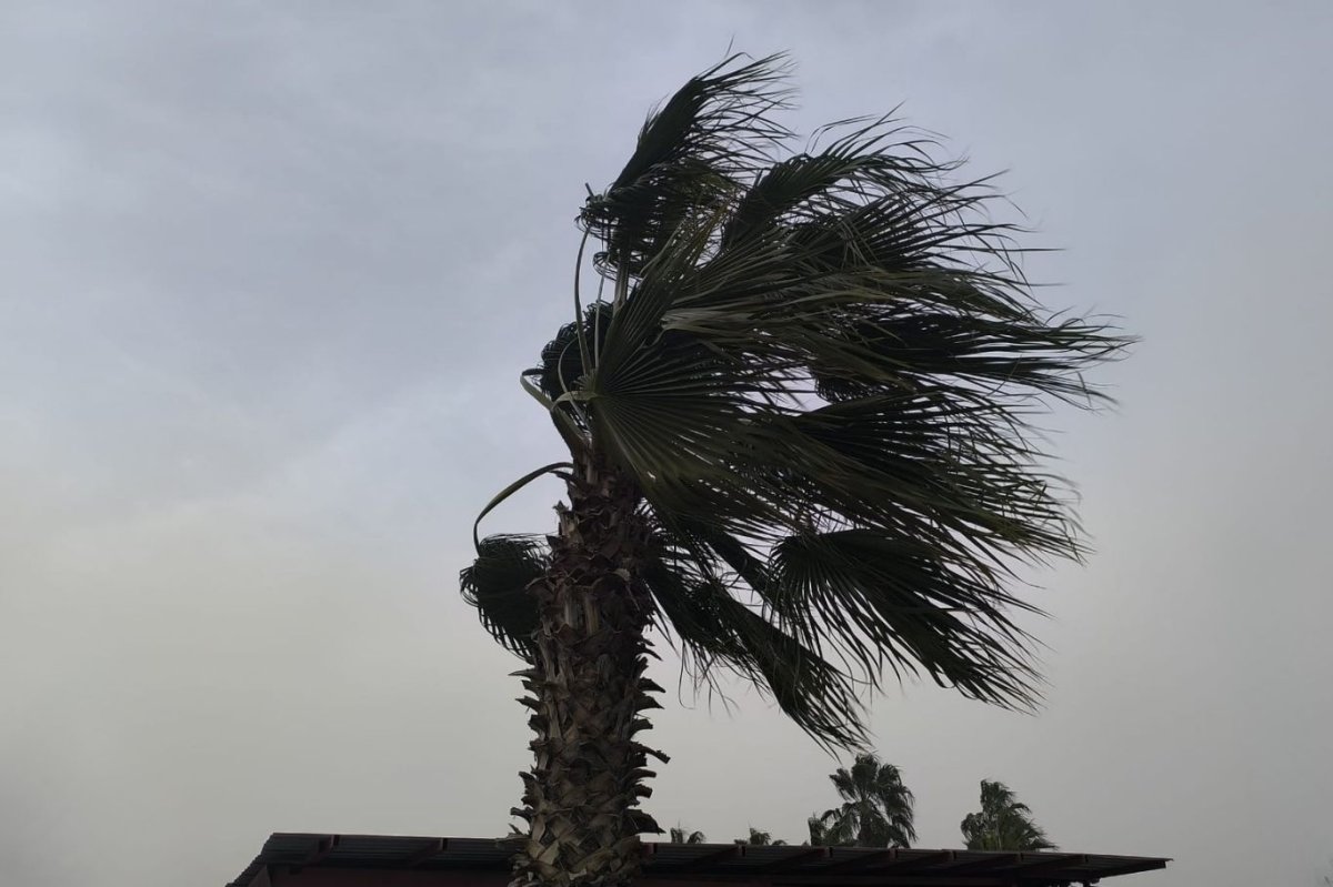 Akdeniz’de fırtına ve zirai don alarmı