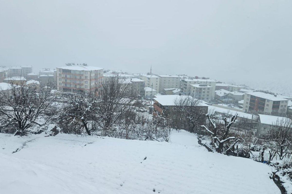 Kulp'ta şubat ayının son günlerinde kar yağışı etkili oldu