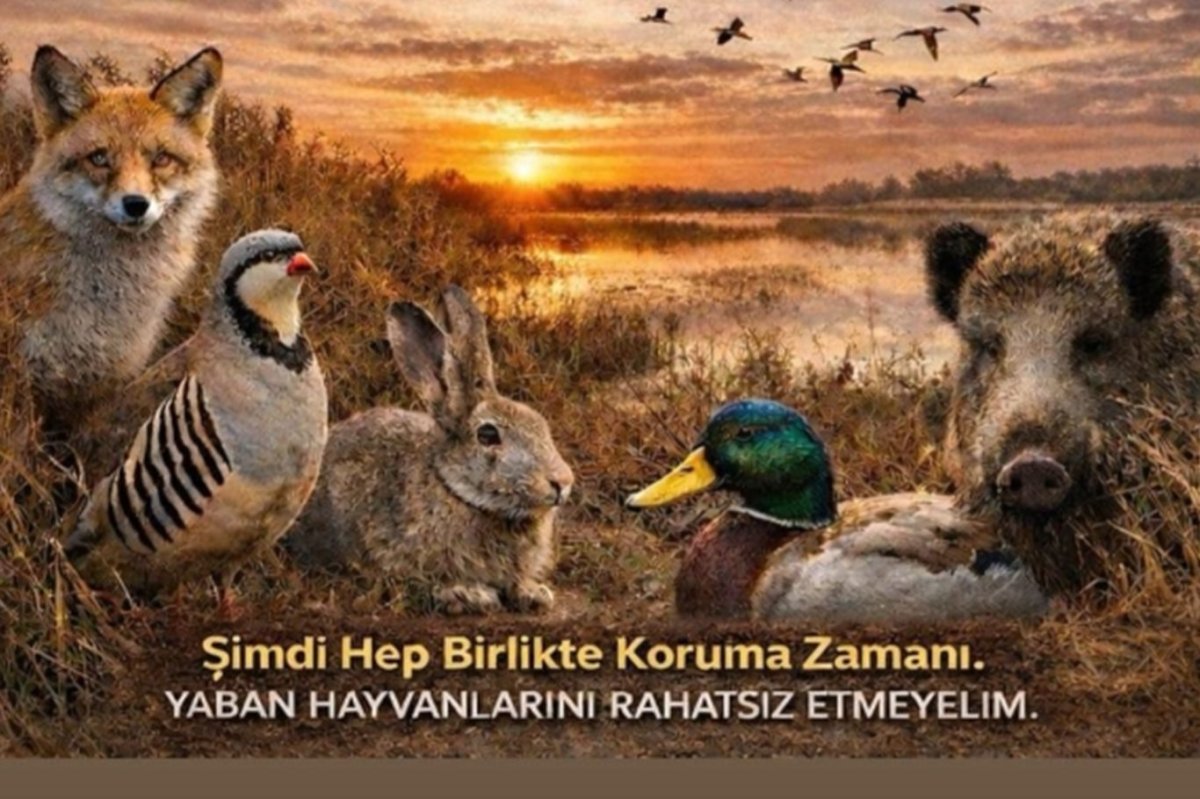 Av sezonu 1 Mart’ta sona eriyor