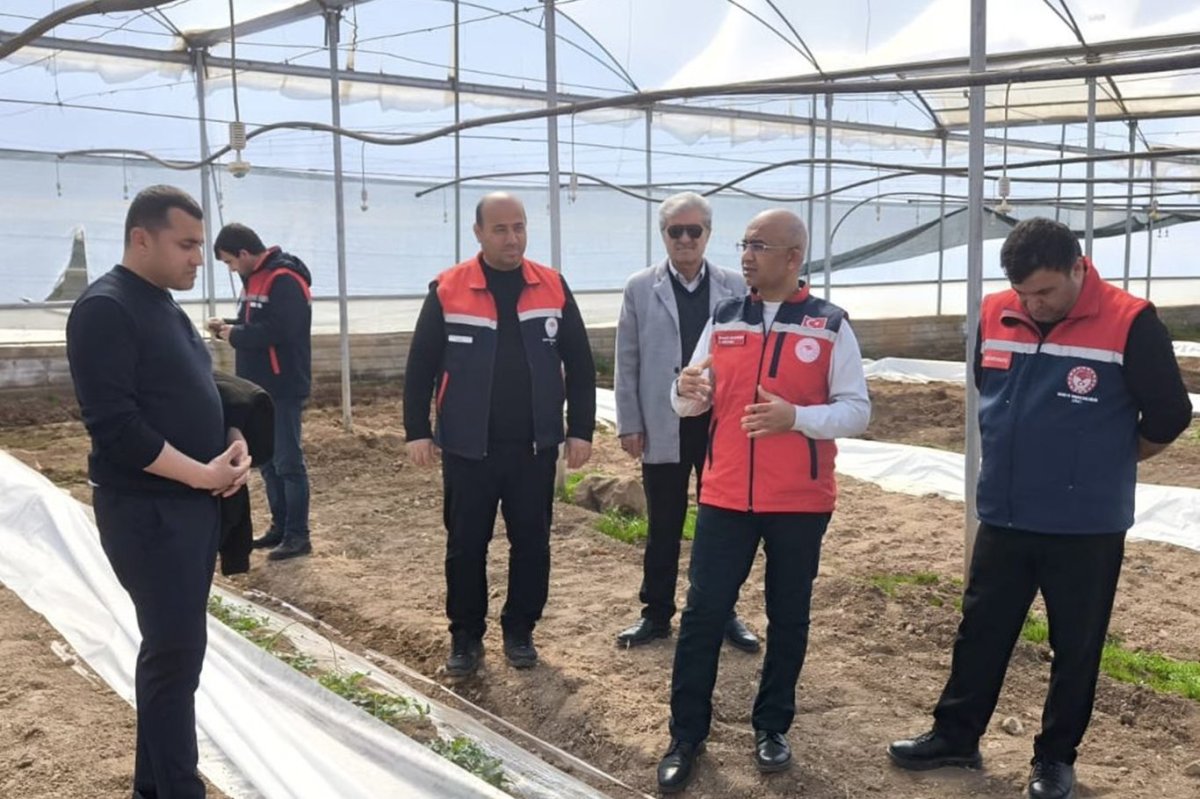 Siirt’te üreticiler erkenci karpuzla pazara hazırlanıyor