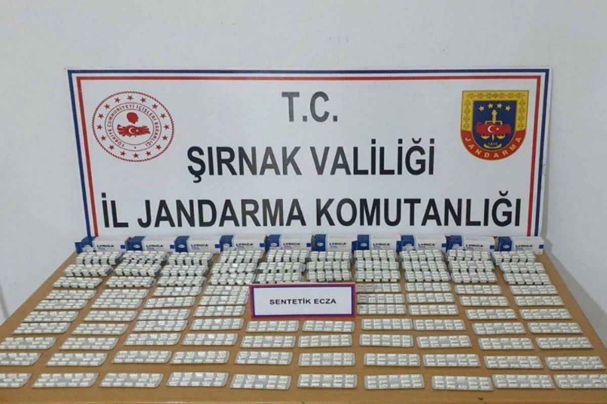 Şırnak'ta jandarmadan asayiş operasyonu: 67 gözaltı