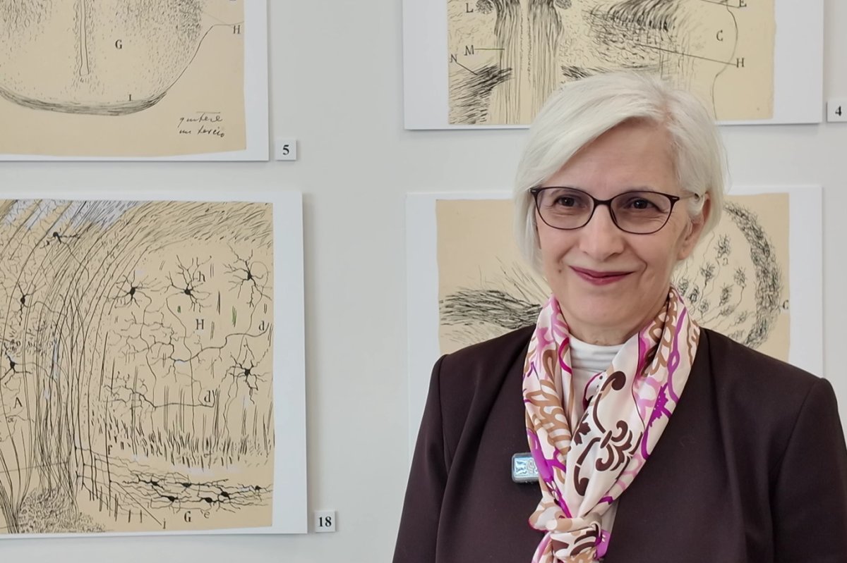 Migrenli beyin 'önemsizi' ayıramıyor, ışık ve desenler ağrıyı tetikliyor