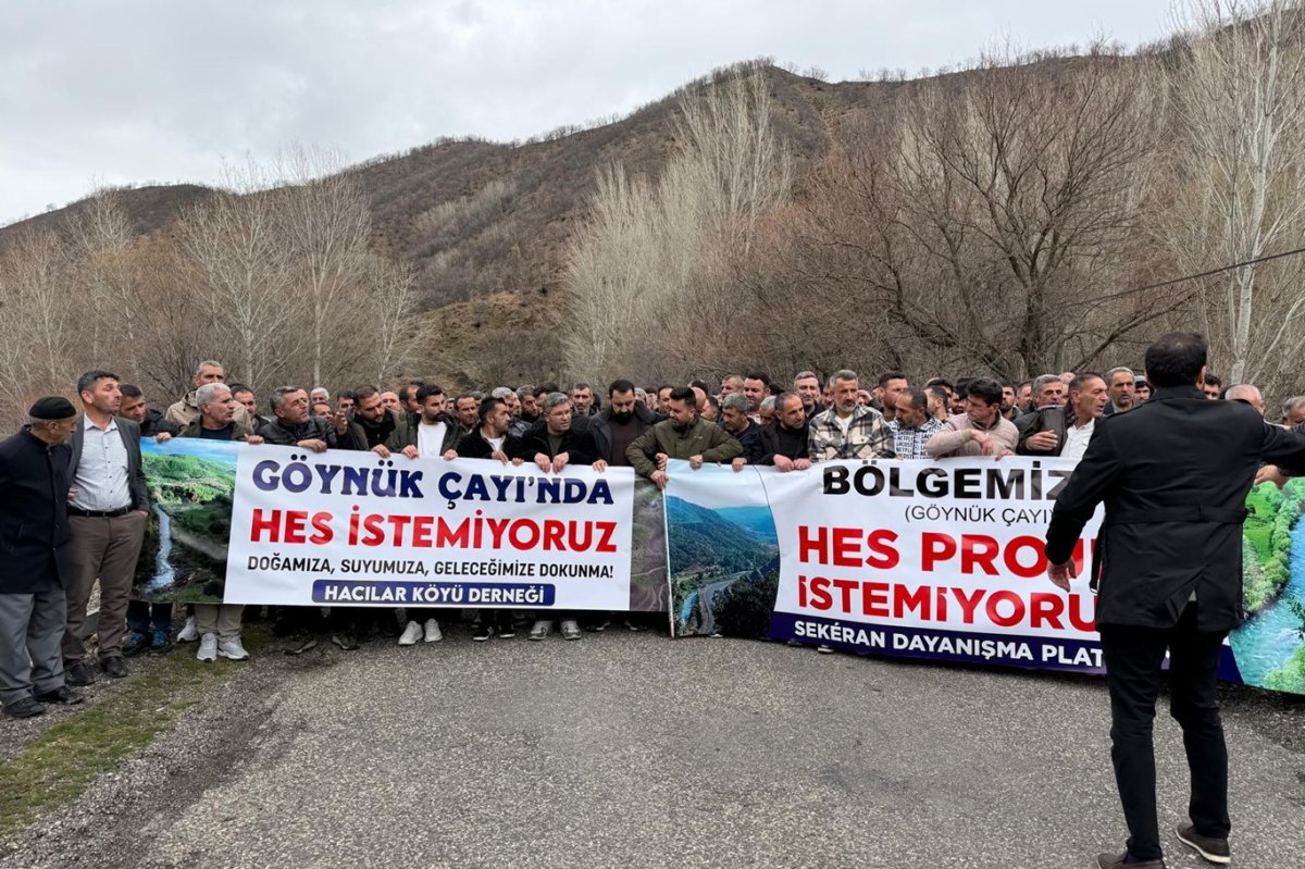 Bingöl’de HES tepkisi: Çocuklarımızın yarınlarını karartmayın