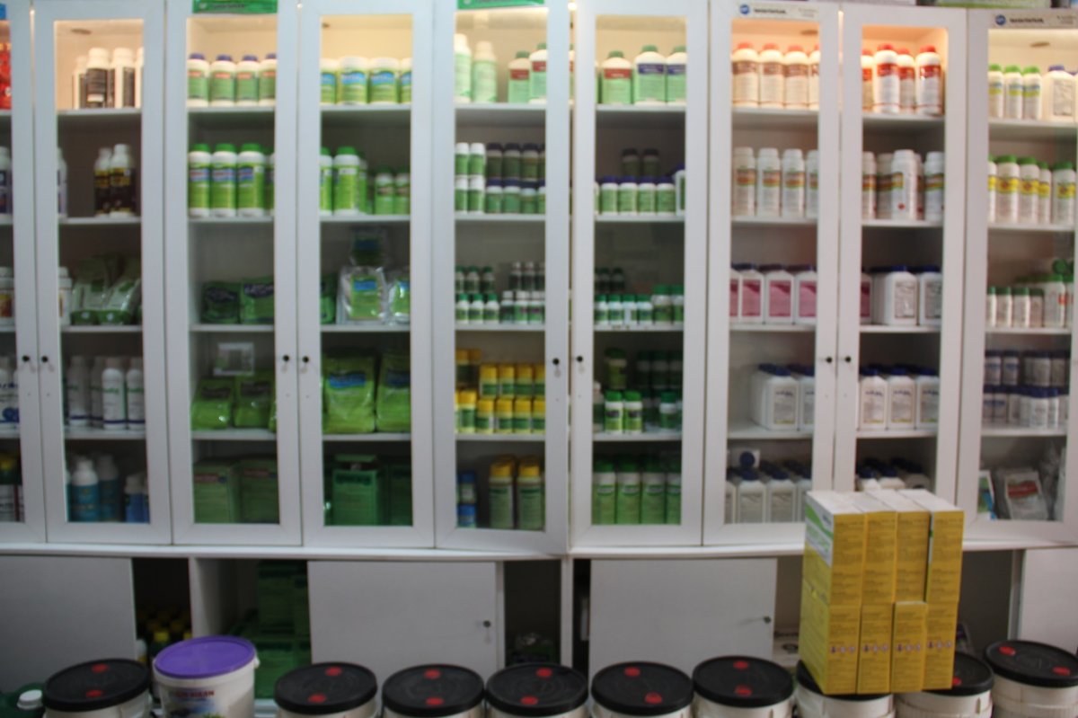 Zirai ilaç satıcıları, mantar hastalıkları için uyardı