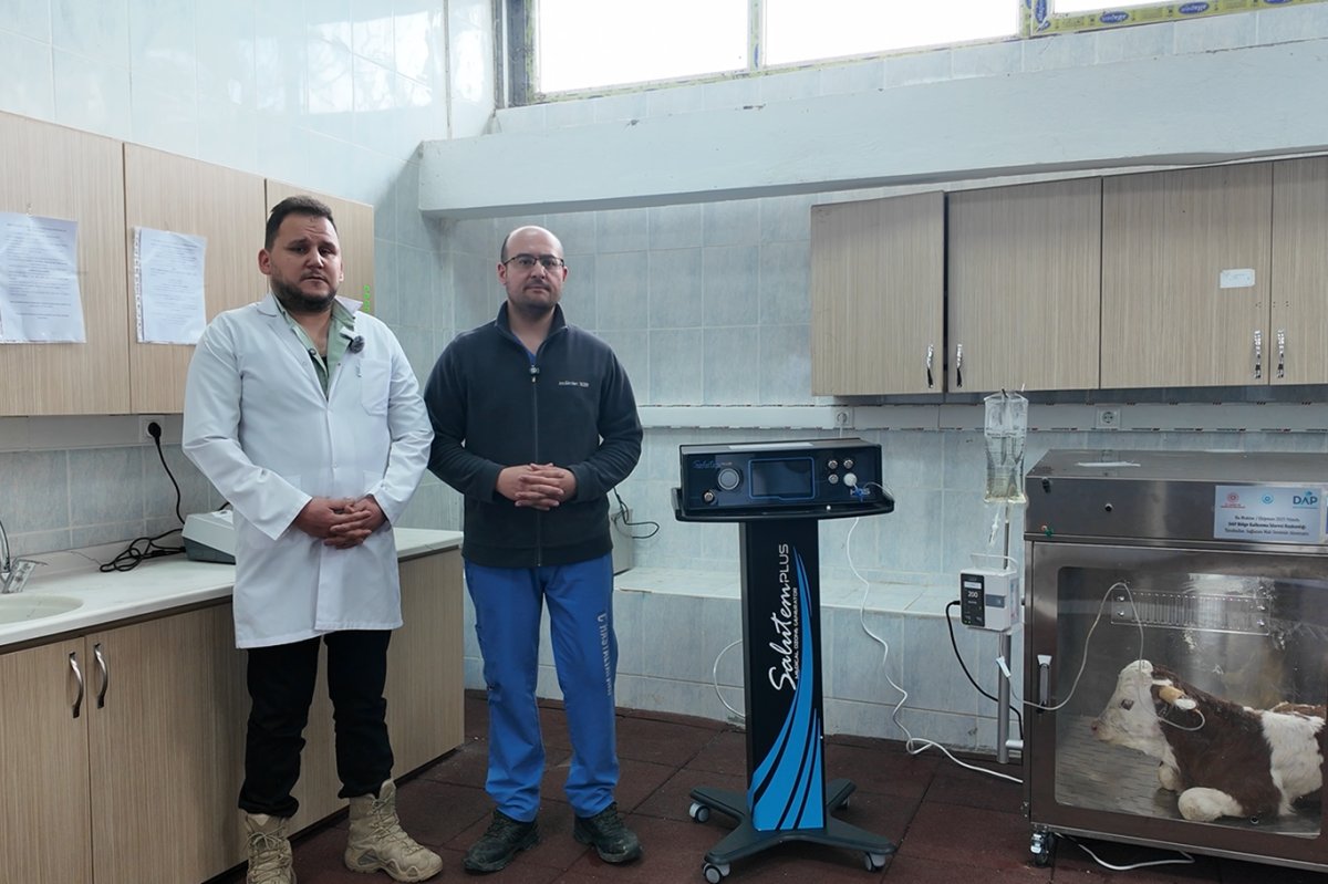 Buzağı ölümlerine "ozon tedavili" ve "yoğun bakımlı" çözüm