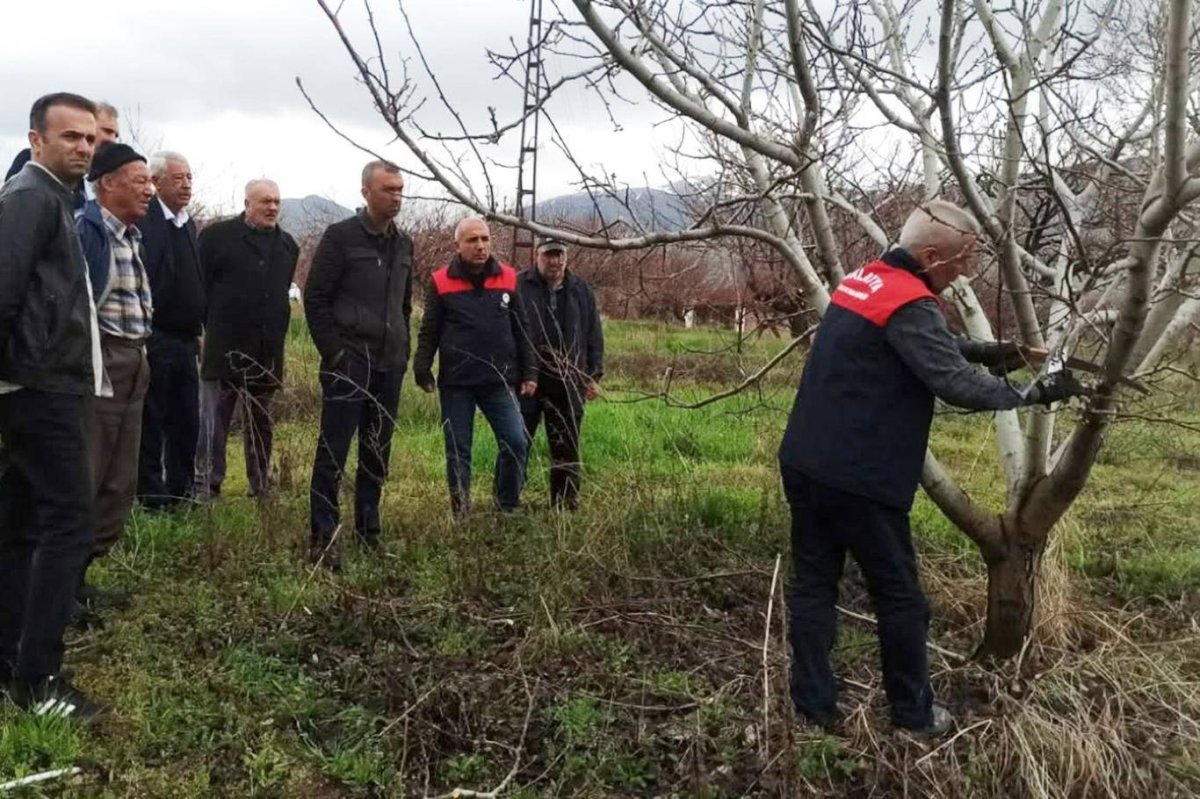 Malatya'da çiftçilere uygulamalı budama eğitimi verildi