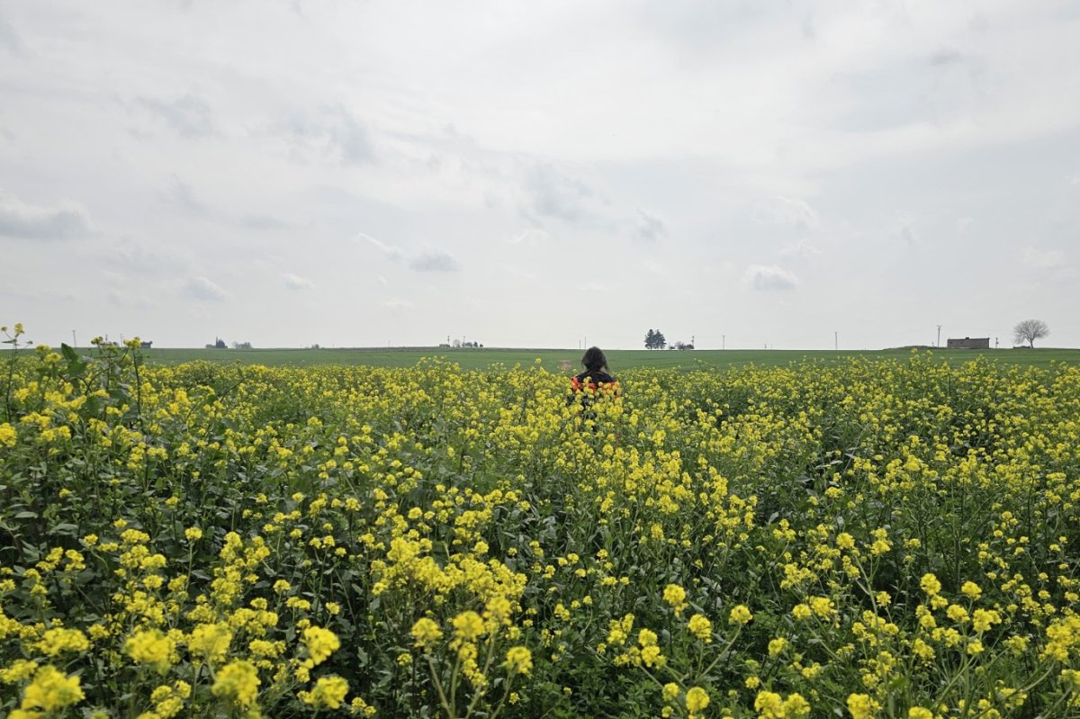 Mardin’de kaybolan yaşlı kadın için arama çalışmaları sürüyor