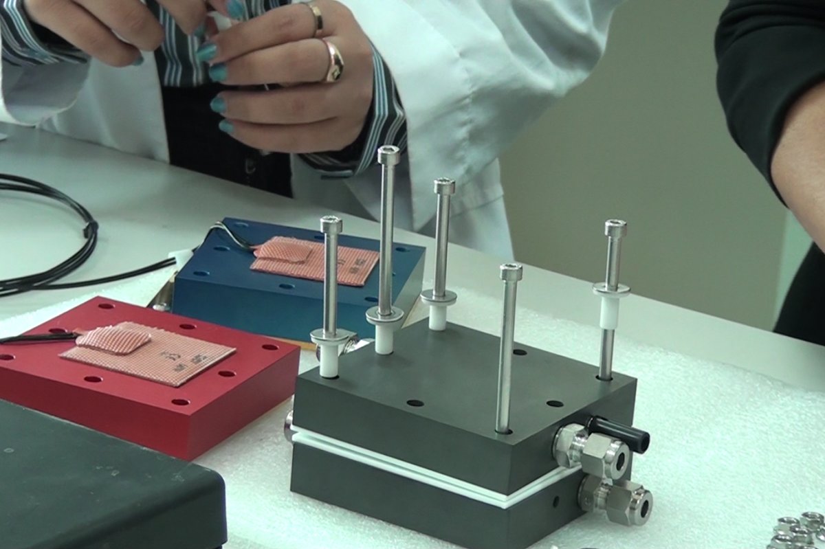 Zeytinle gelen temizlik: Mikroplastiklere karşı yeni nesil filtre