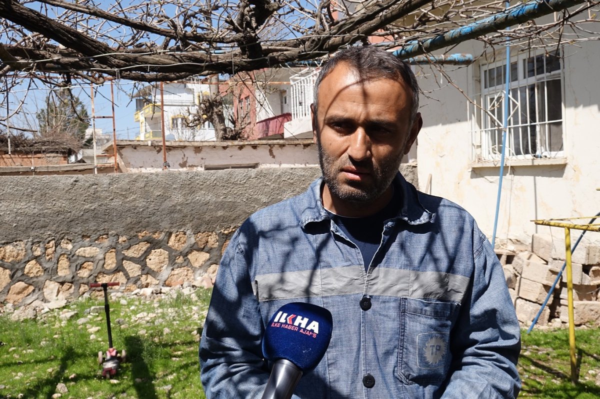 Üzüm bağı budaması başladı: Uzmanından verim uyarısı