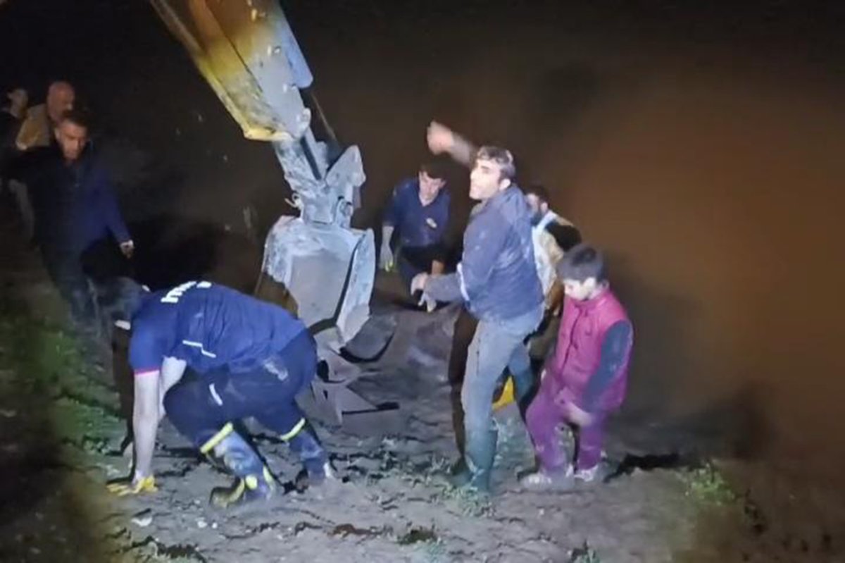 Dicle Nehri'ne düşen ineği itfaiye ekipleri kurtardı