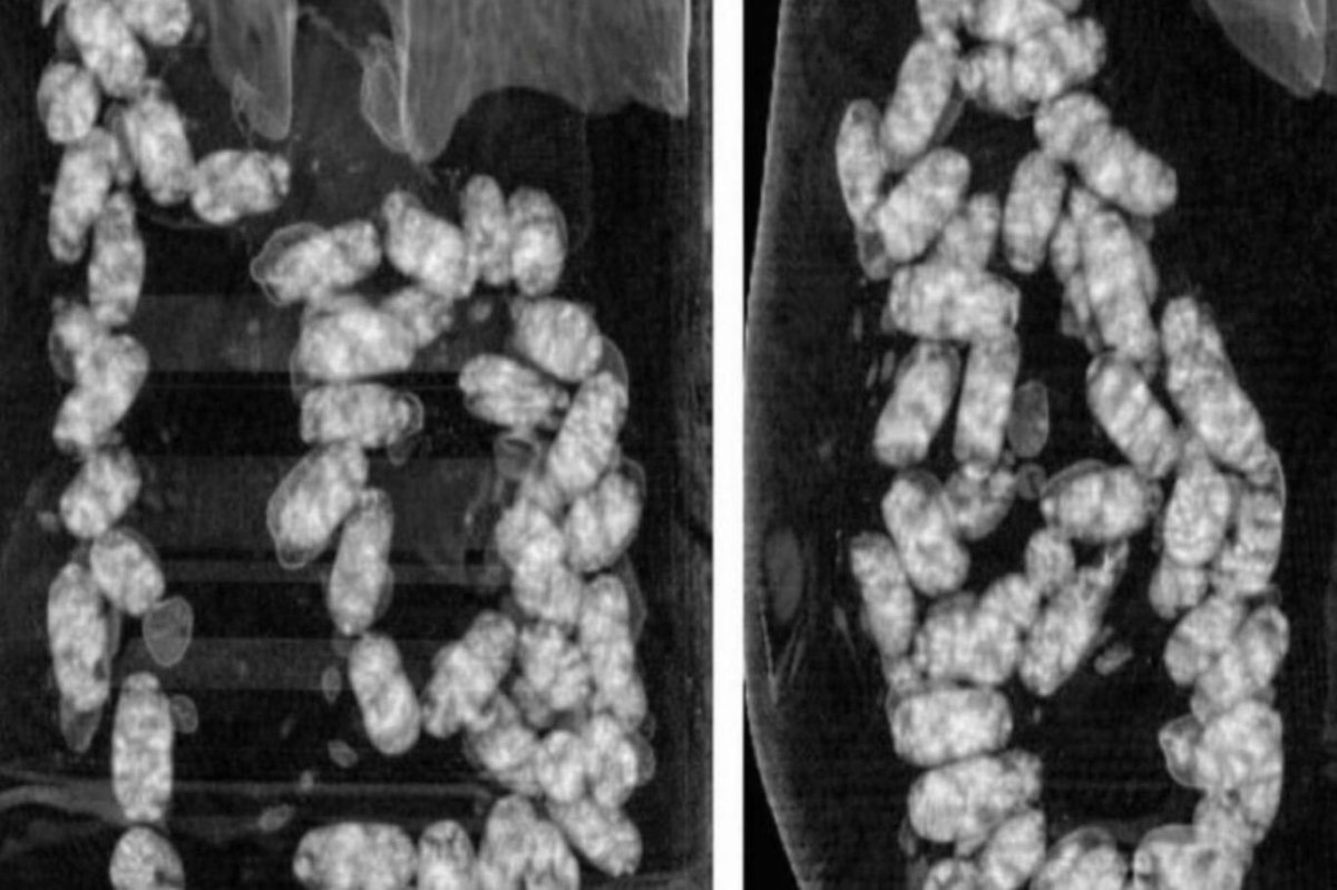 İzmir’de uyuşturucu operasyonu: 2 tutuklama