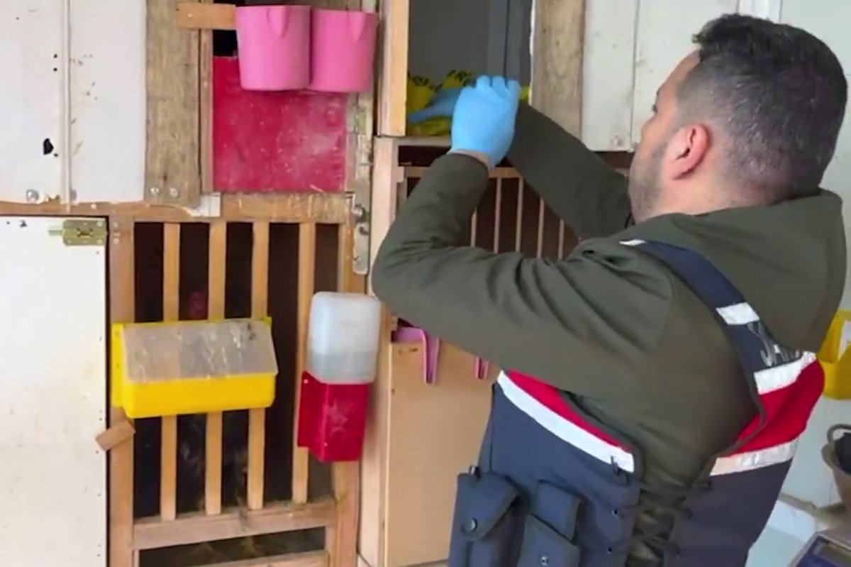 Malatya'da çok sayıda ruhsatsız silah ve mühimmat ele geçirildi: 3 gözaltı