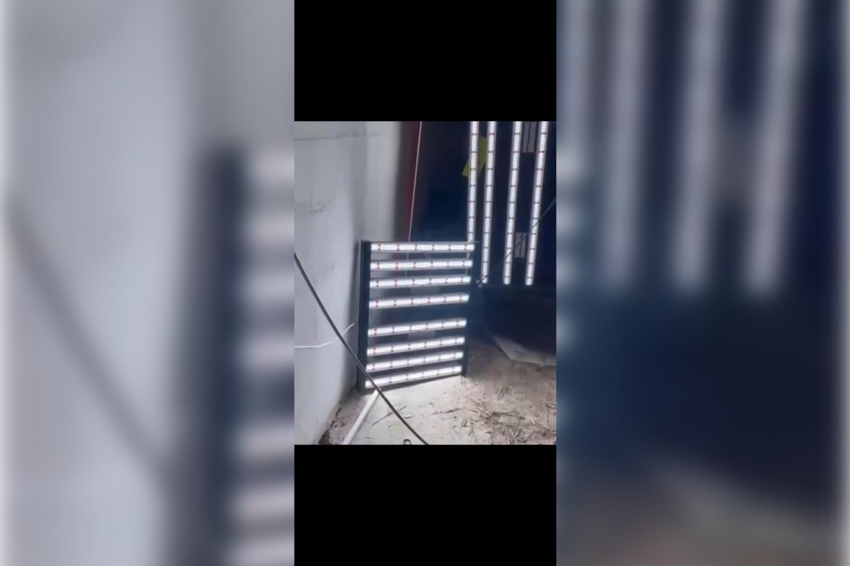 İzmir'de uyuşturucu operasyonu: 2 tutuklama