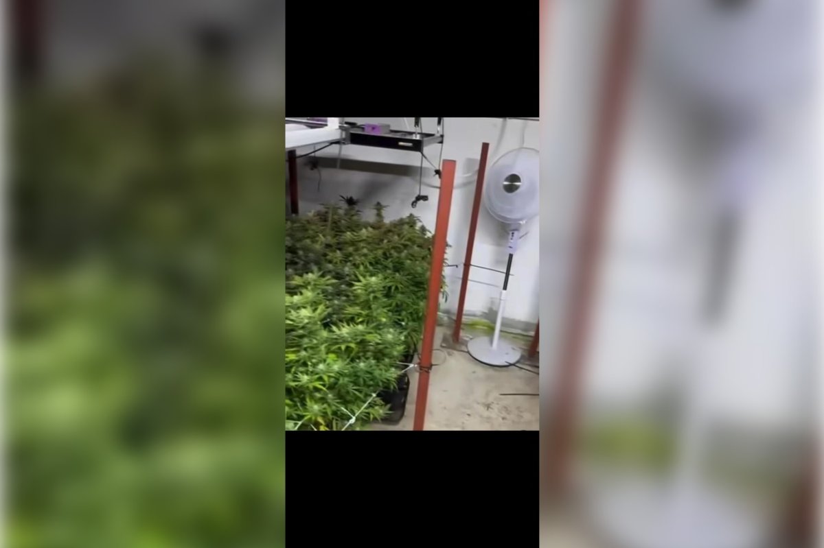 İzmir'de uyuşturucu operasyonu: 2 tutuklama