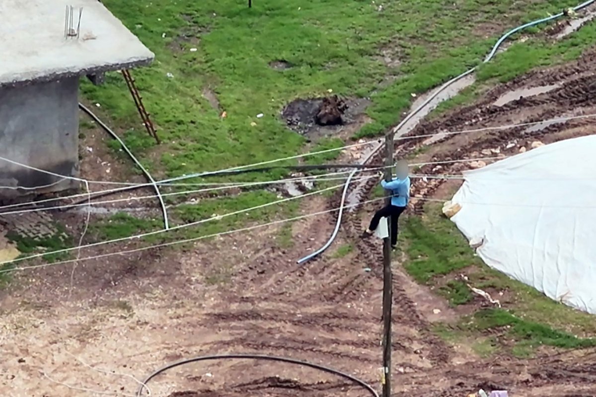 Dronla kaçak elektrik denetimi: Direğe tırmanıp hatları söktü