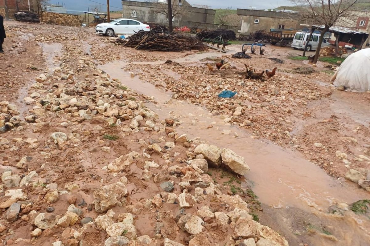 Siirt’te selin ağır bilançosu: Tarım ve hayvancılık zarar gördü