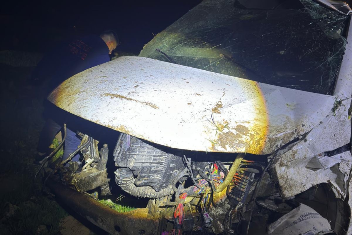 Cizre'de kamyonet şarampole yuvarlandı: Bir ölü