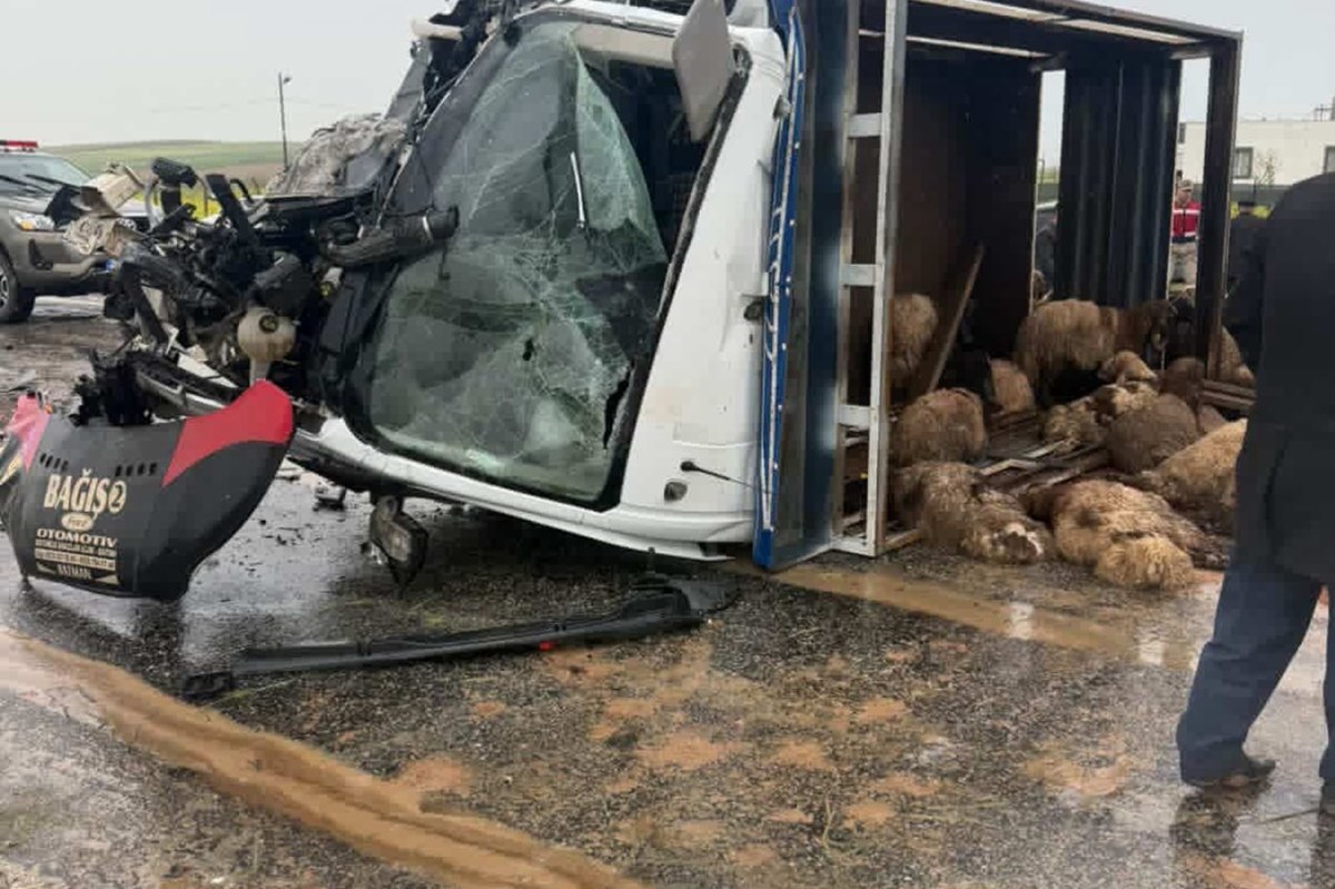 Siirt'te koyun yüklü kamyonet ile otomobil çarpıştı: 2 ölü, 3 ağır yaralı