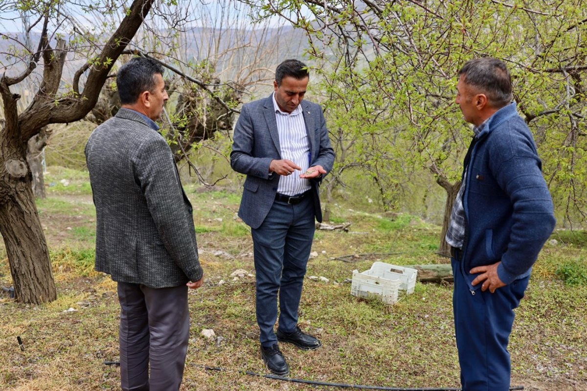 Başkan Ulutaş, doludan etkilenen kayısı üreticilerini ziyaret etti