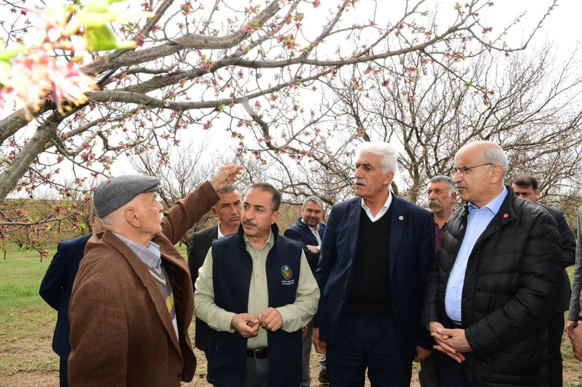 Büyükşehir Belediye Başkanı Er: Dolu yağışı nedeniyle ortaya çıkan hasar raporlanıp ilgili mercilere sunulacak