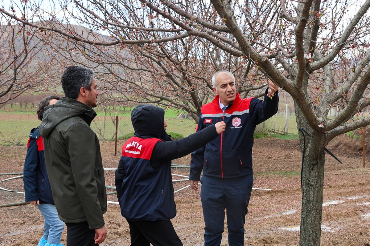 Malatya Tarım ve Orman İl Müdürü Akar: Dolu zararı için kesin tespit çalışmaları sürüyor