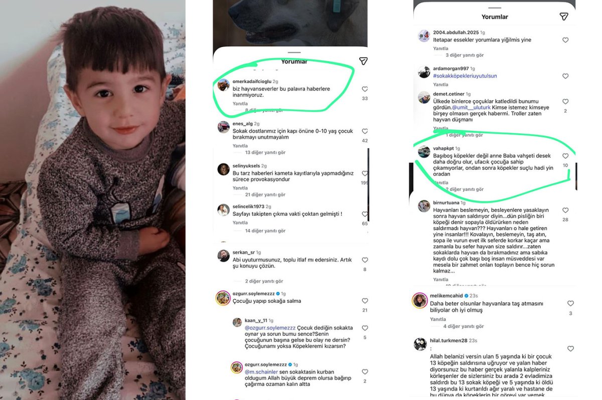 Van’da köpek saldırısında hayatını kaybeden çocuğun ailesine yönelik yorumlara suç duyurusu