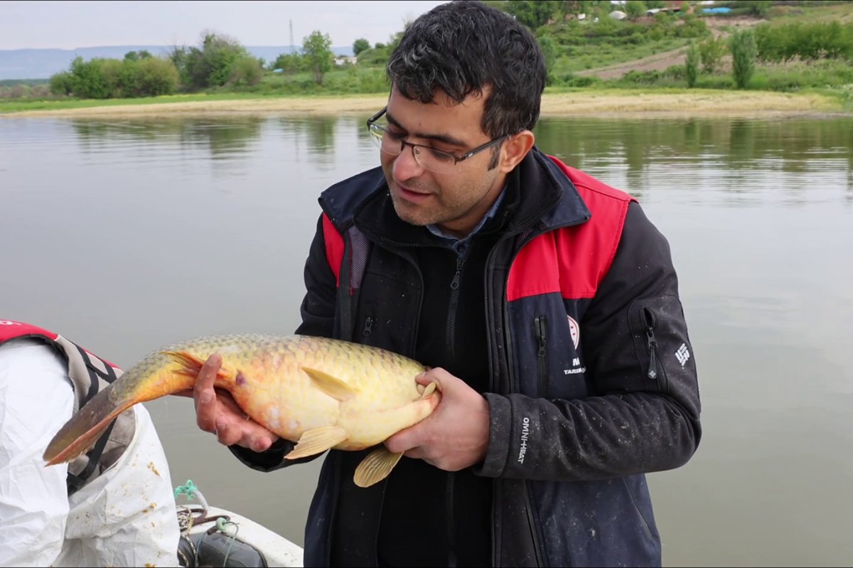 Malatya'da kaçak avcılık yapanlara 80 bin 530 TL ceza uygulandı
