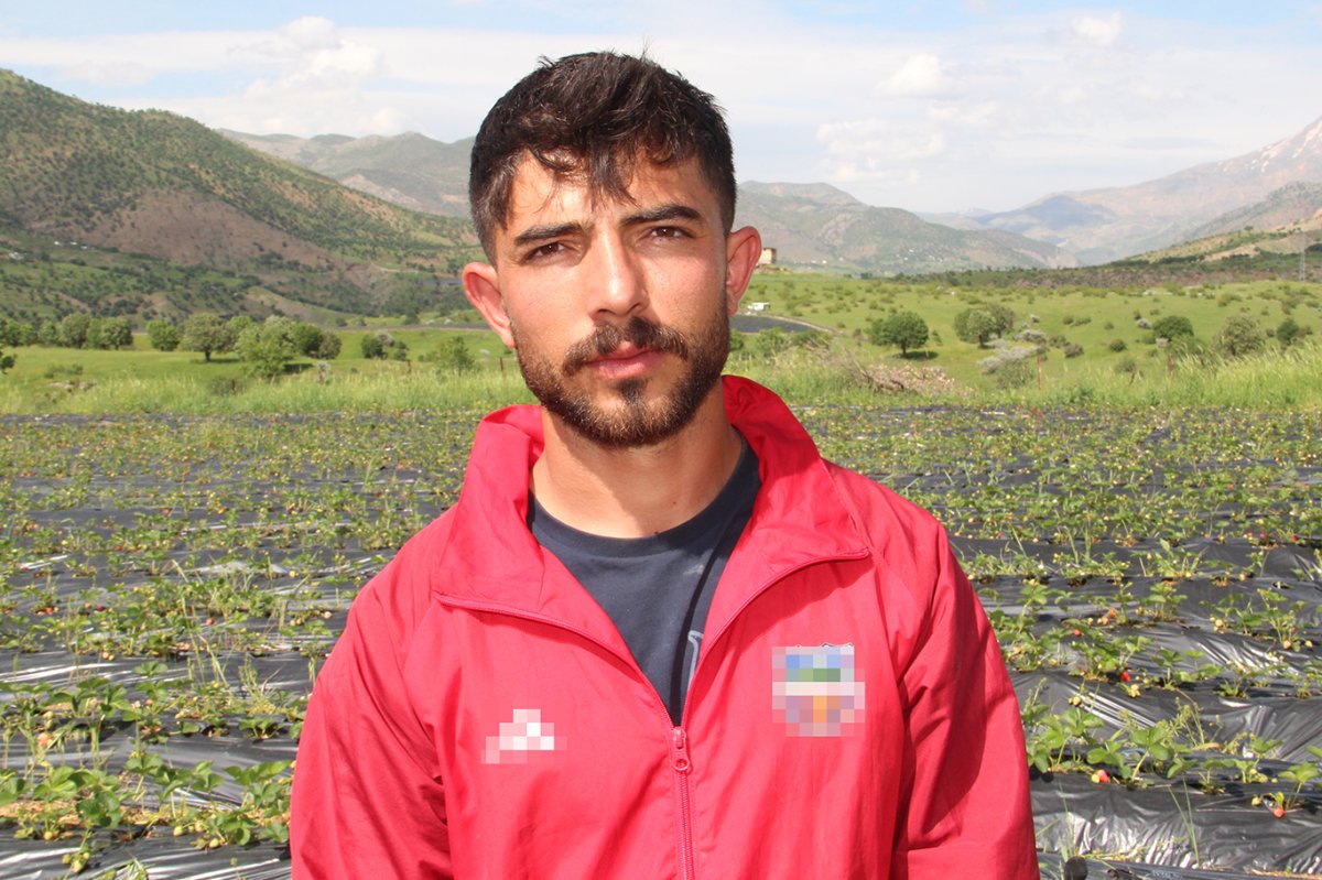 Coğrafi işaretli Sason çileği üreticinin yüzünü güldürüyor