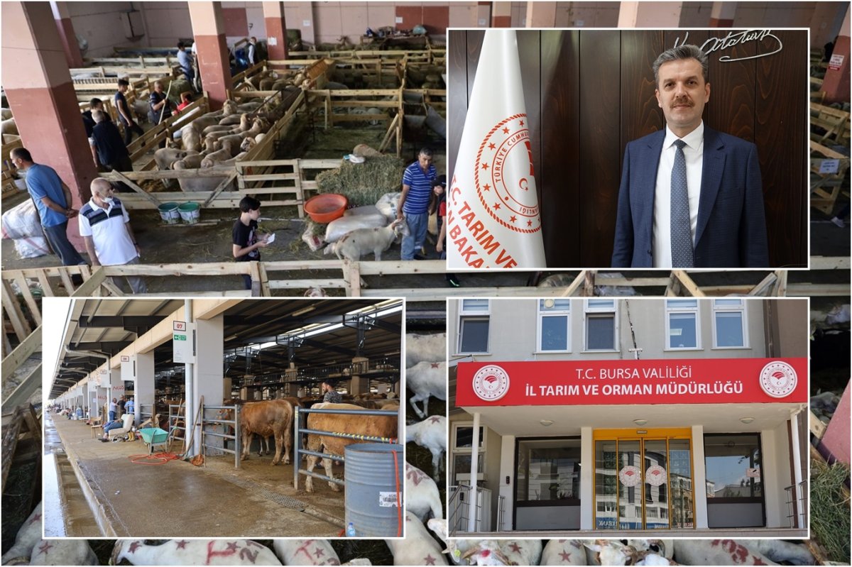 Bursa'da kurban kesim için alınacak tedbirler tamamlandı