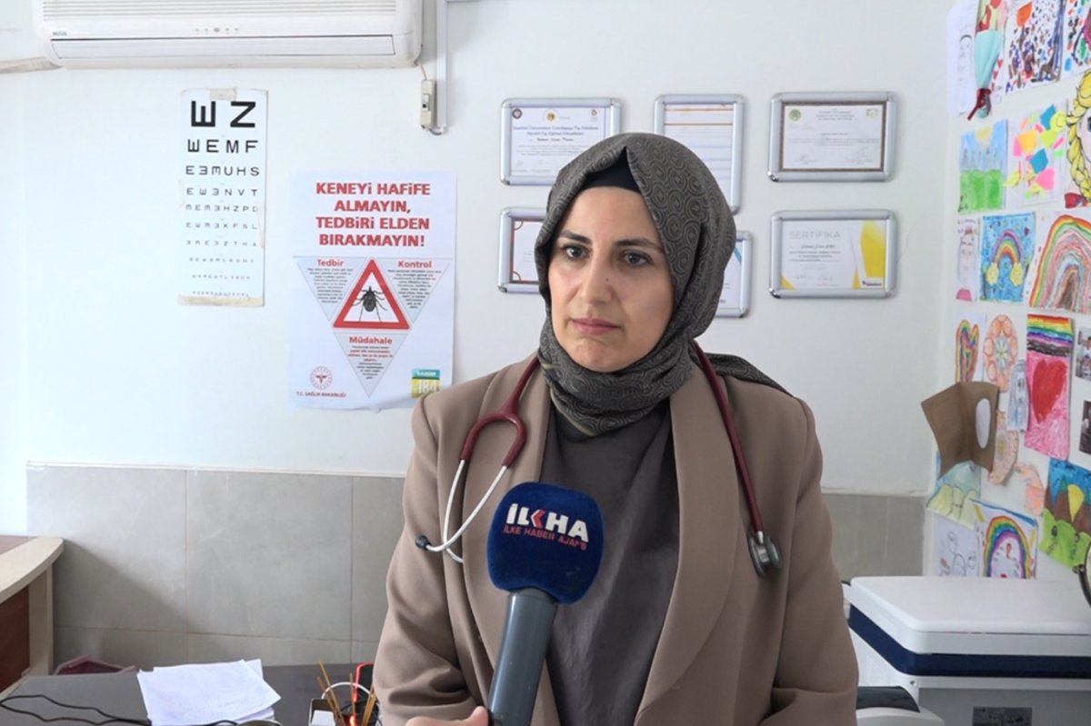 Aile hekiminden kene uyarısı: Basit önlemler hayat kurtarıyor
