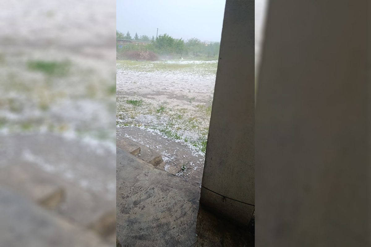 Şanlıurfa’da sağanak ve dolu yağışı tarım arazilerine zarar verdi