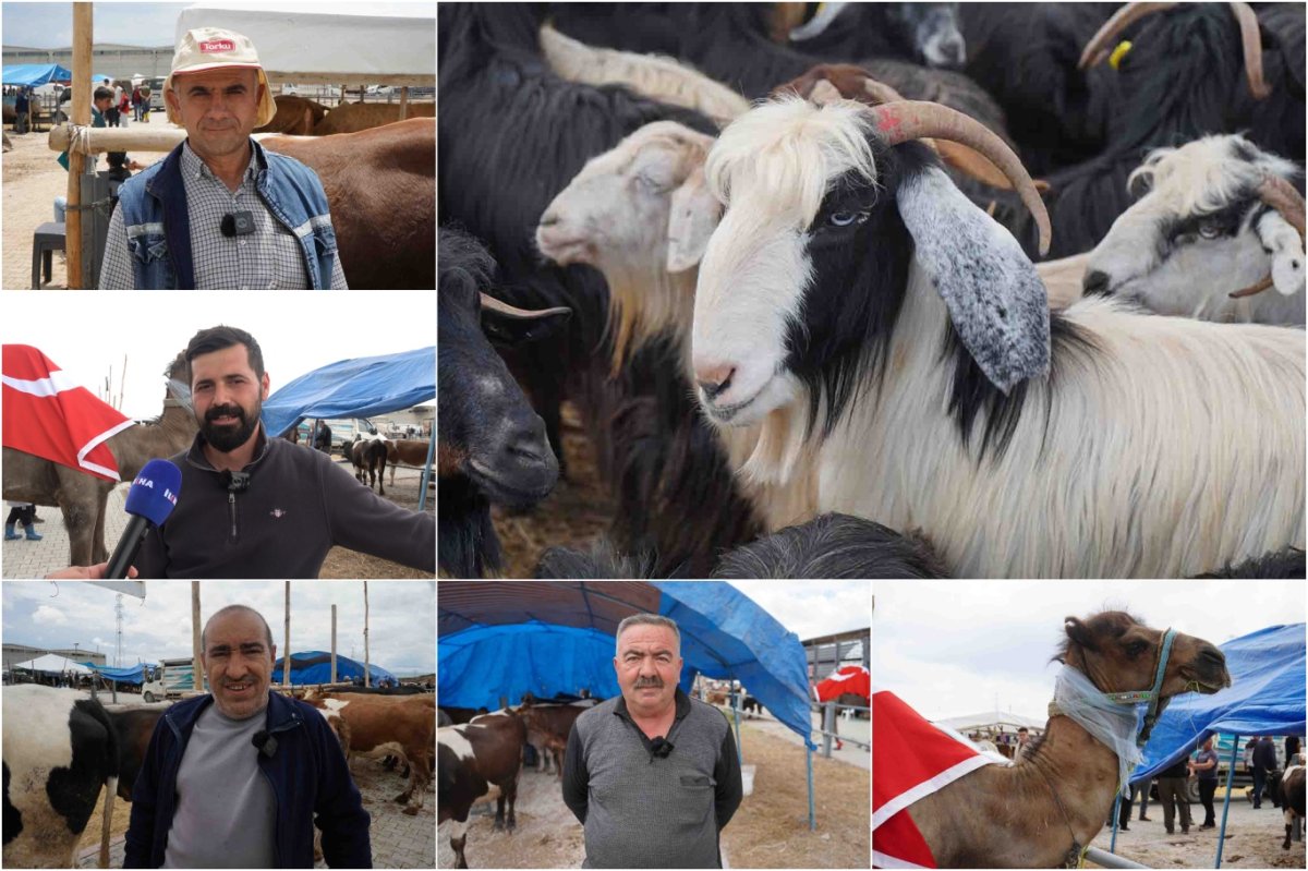 Artan yem fiyatları besicileri zorluyor: Sektör bitme noktasına geldi