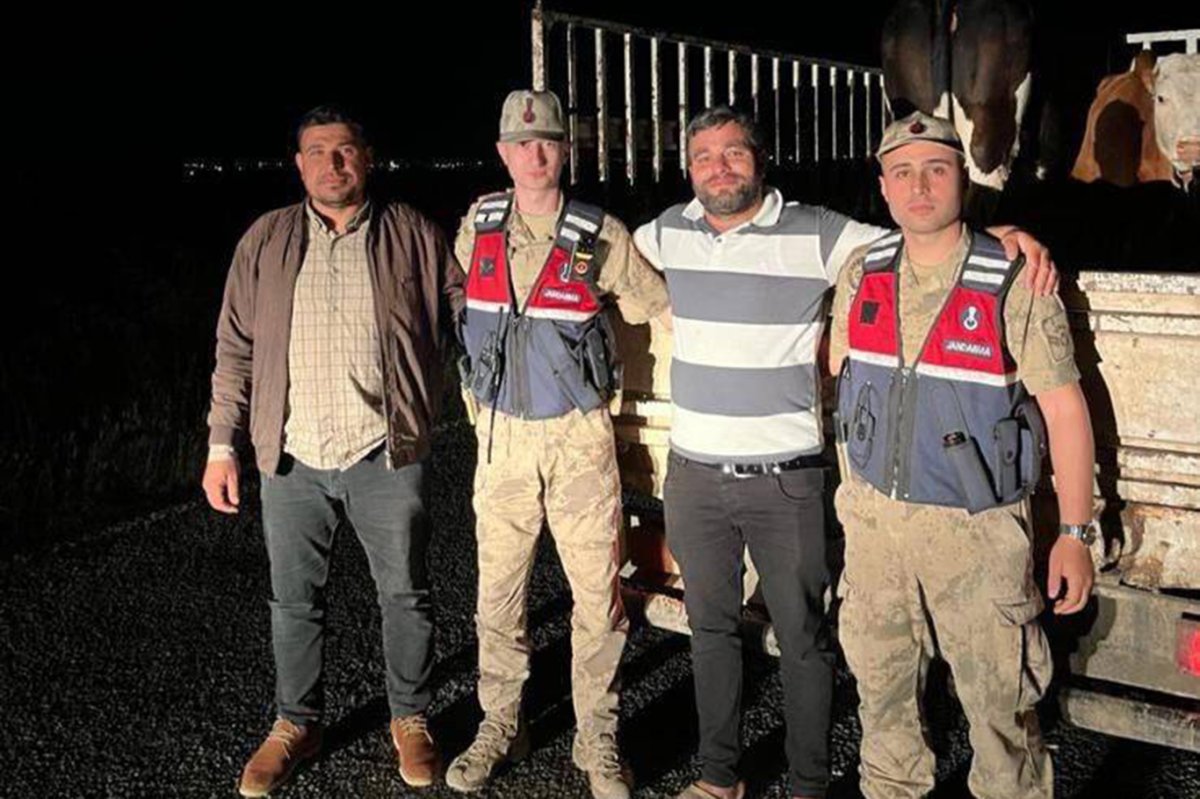 Şanlıurfa’da kaybolan büyükbaş hayvanlar bulunarak sahibine teslim edildi