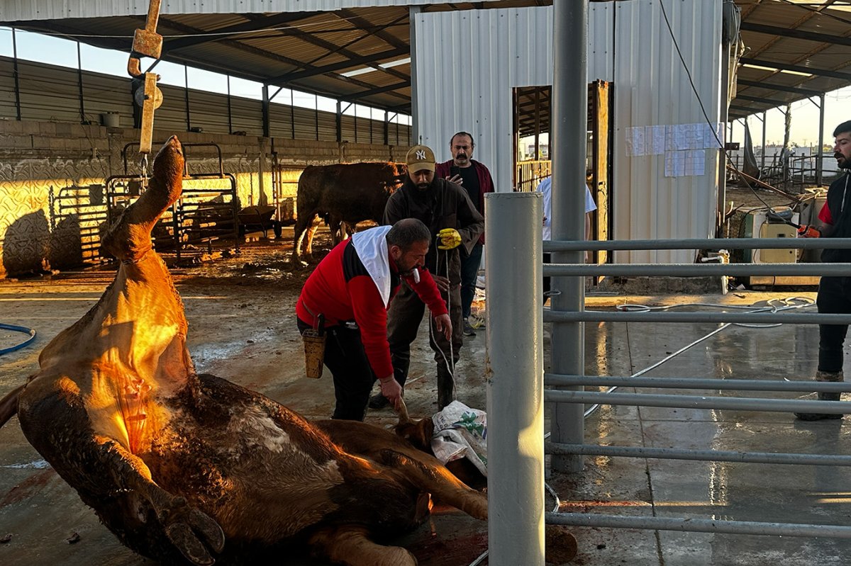 İlk kurbanlar kesilmeye başlandı